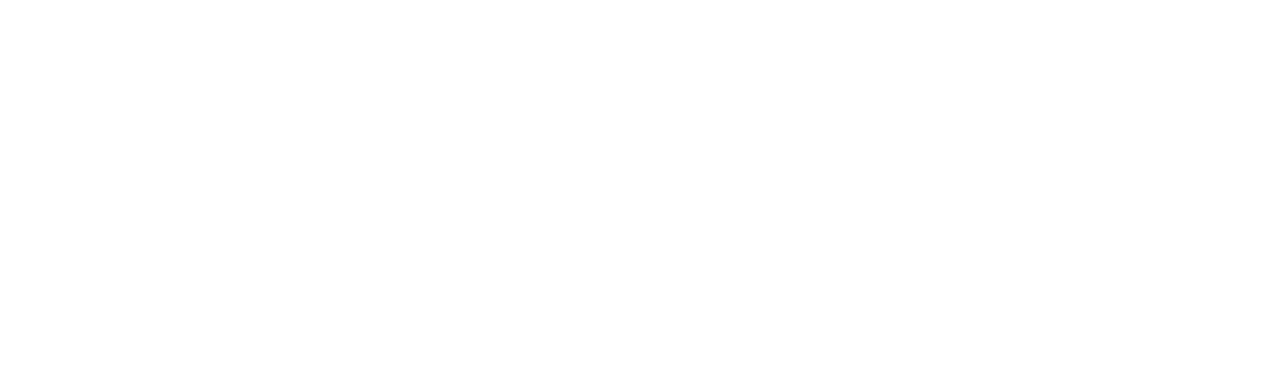 SUBLIM'AUTO.LYON
